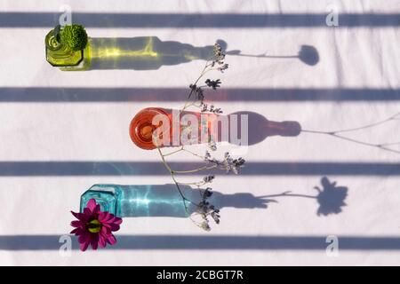 Still life of flowers in colourful blue, orange and green glass bottles on a hot summer day with a white background on a picnic table Stock Photo