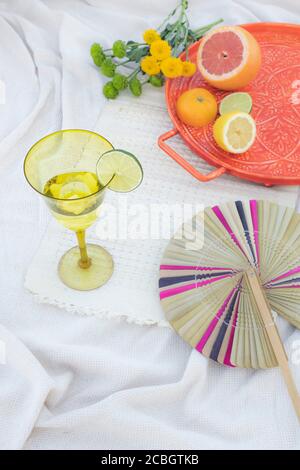 Picnic set up on a hot summer day in the park, with glass of water, fresh slice of lime, citurs fruits and a fan Stock Photo