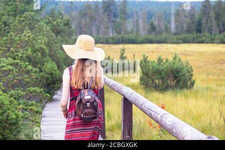 young woman with long hair and a straw hat, in a summer dress - walks along a wooden sidewalk on a peat bog - back view Stock Photo