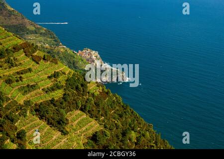 View of the Mediterranean coast of Liguria, Italy featuring steep cliffs with terraced vineyards on the slopes overlooking the sea. A town in Cinque t Stock Photo