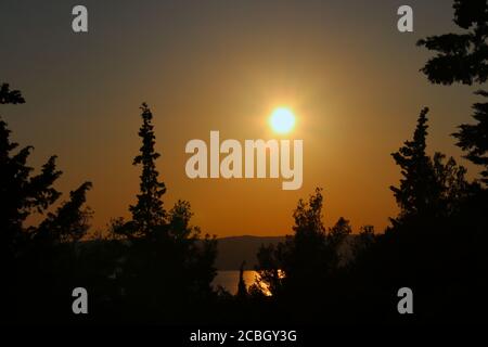 an incredible sunset over old pine trees Stock Photo