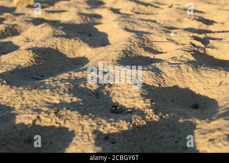 sand uneven waves highlighted by the sun sand background on the sea river lake summer Stock Photo