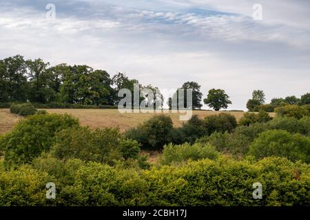 View over fields & hedgerows & trees in English countryside during summer on cloudy day Stock Photo