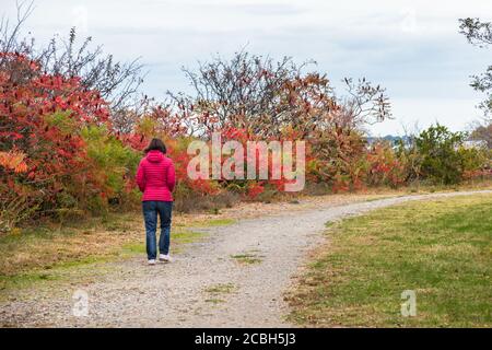 Lonely woman walking on a gravel path in a public park on a cloudy autumn day. Autumn colours. Concept of loneliness. Stock Photo