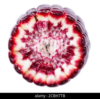 Cross section of purple cornisolated on white background Stock Photo
