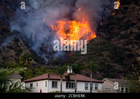 Azusa, California, USA. 13th Aug, 2020. A wildfire burns the hillside behind homes on Wednesday. Evacuation orders were issued Thursday after a brush fire sparked near Azusa, threatening homes, officials said. Credit: Ringo Chiu/ZUMA Wire/Alamy Live News Stock Photo