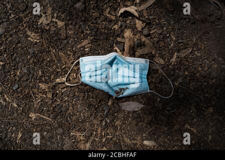 A blue disposable face mask found on the street. Top view of thrown away or lost used earloop medical mask on brown soil during COVID-19 pandemic. Stock Photo