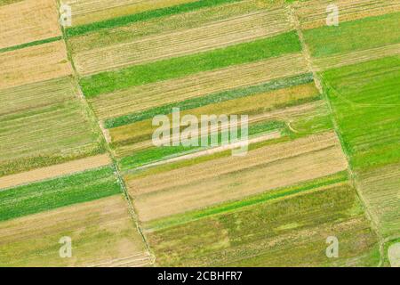 top down aerial view of striped crop fields in sunny summer day. agricultural landscape background Stock Photo