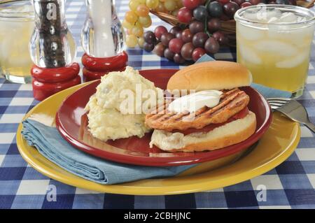 A grilled salmon burger with potato salad on a picnic table Stock Photo