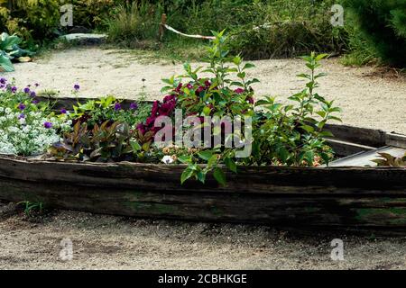 Beautifully designed flowerbed in the form of a boat of flowers of different colors. Photo taken in Chelyabinsk, Russia. Stock Photo