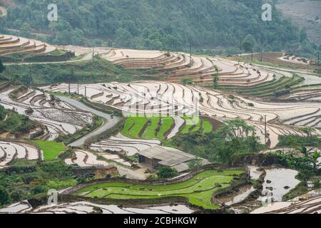 Rice field terraces. Mountain view in the clouds. Sapa, Lao Cai Province, north-west Vietnam Stock Photo