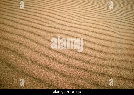 yellow sand dune in the sun. The sun shines on the sand. Sand texture background and sand dunes - image Stock Photo