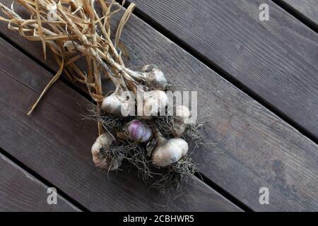 bunch of fresh garlic on dark grey wooden rustic background. Top view Stock Photo