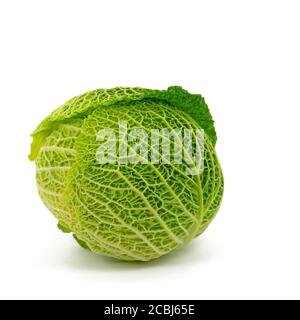 Savoy cabbage against a white background Stock Photo