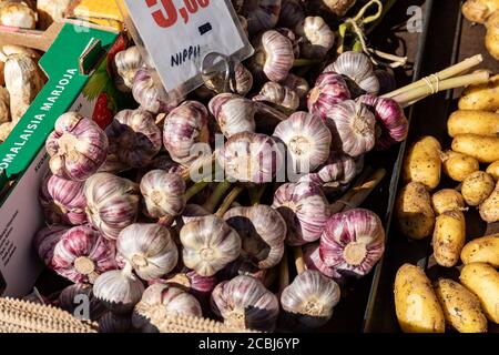 Garlics for sale at Hakaniemi Market Square in Helsinki, Finland Stock Photo