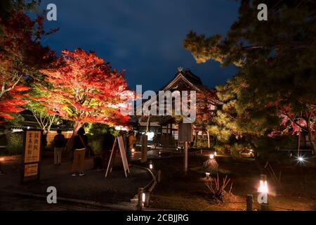 lluminated Autumn Foliage in Kodai-ji Temple Stock Photo