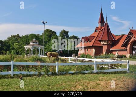 CHICAGO, IL -5 JUL 2020- View of the National Museum of Puerto Rican Arts and Culture housed in the historic landmark Humboldt Park stables and recept Stock Photo