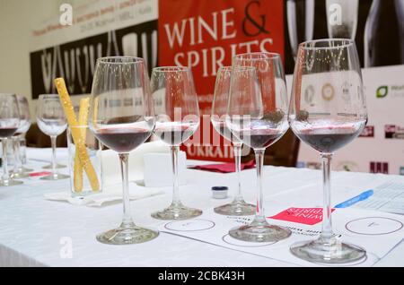 Wine glasses with red wine inside placed on a table of a tasting room, prepared for testing Stock Photo