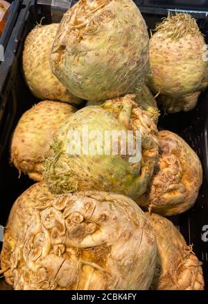 Close up of isolated celeriac knobs on german market Stock Photo