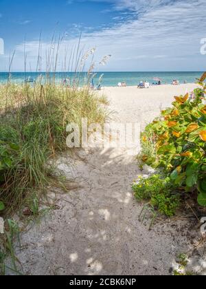 Path to Manasota Beach on the Gulf of Mexico on Manasota Key in Englewood Florida United States Stock Photo