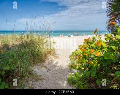 Path to Manasota Beach on the Gulf of Mexico on Manasota Key in Englewood Florida United States Stock Photo