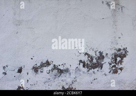 the background is a wall texture with old white plaster that has cracked and fallen off Stock Photo