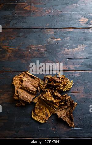 dry leafs tobacco Nicotiana tabacum and tobacco leaves on old wood planks table dark top view space for text Stock Photo