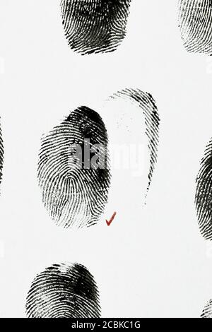 Abstract macro background of black ink various human fingerprints on white matte paper with red pencil check mark Stock Photo