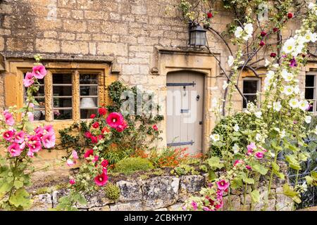 Hollyhocks flowering outside a typical traditional stone cottage in the Cotswold village of Laverton, Gloucestershire UK Stock Photo