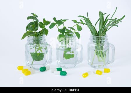 Alternative medicine. Herbal capsules and pills next to fresh mint and rosemary leaves in glass jars Stock Photo