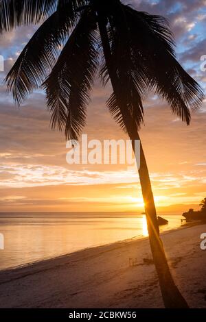 Anda Beach at sunset, Bohol Island, Visayas, Philippines Stock Photo