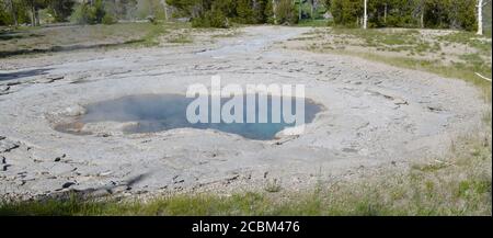Late Spring in Yellowstone National Park: Spa Geyser of the Grotto Group in Upper Geyser Basin Stock Photo