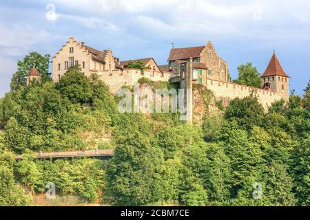 Rhine Falls, Neuhausen am Rheinfall, Schaffhausen, Switzerland, Europe Stock Photo