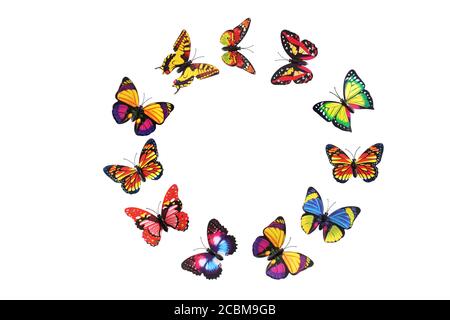 Paper Butterflies on White Background Stock Photo