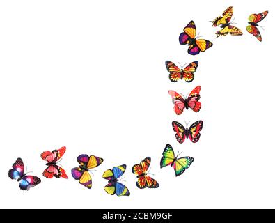 Paper Butterflies on White Background Stock Photo