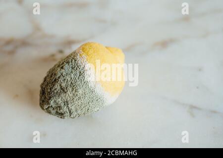 Mouldy lemon on a marble surface Stock Photo