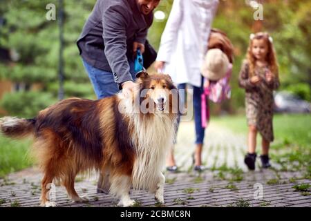 Family spending leisure time together in a park with shetland sheepdog