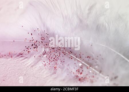 Illustration of a pink feather pattern with shiny glitters-perfect for background or wallpaper Stock Photo