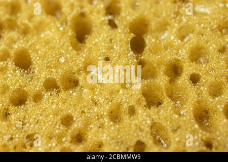 Yellow sponge perforated texture background Stock Photo