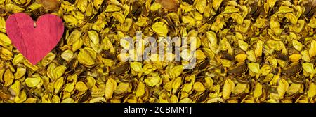 red wooden heart with yellow leaves and shells background, panorama banner Stock Photo