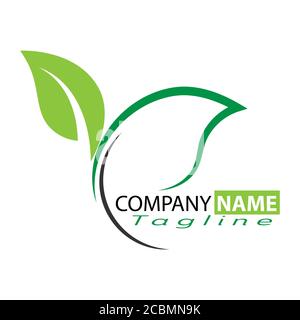 Green leaf. Template for a logo, sticker, or emblem isolated on a white background Stock Vector