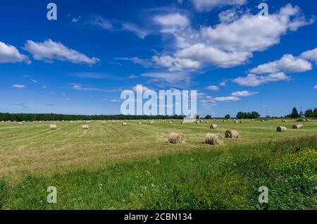 Beautiful rustic landscape with hay rolls on cultivate field under blue ...