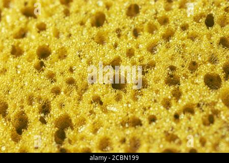 Yellow texture background with holes. Macro photo Stock Photo