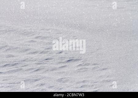 winter background of fresh snow texture with sun glare. Stock Photo