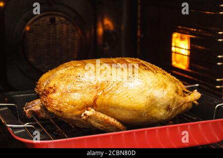 Christmas duck in a deep pan with grill rack, prepared meal for celebration dinner. Stock Photo