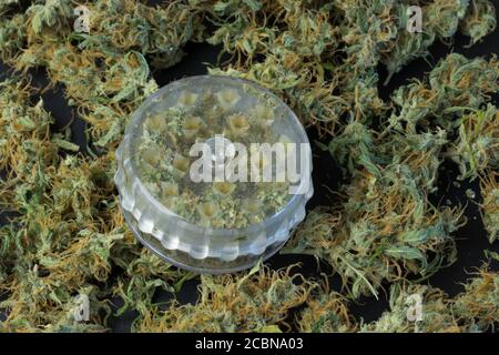Grinder on cannabis background top view. Design for marijuana business industry Stock Photo