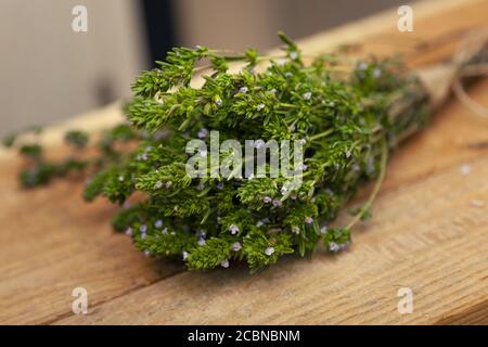 Thyme Bush young juicy fresh Breckland wild thyme with lilac flowers and green leaves on a wooden table close-up. Blurred background environment Stock Photo