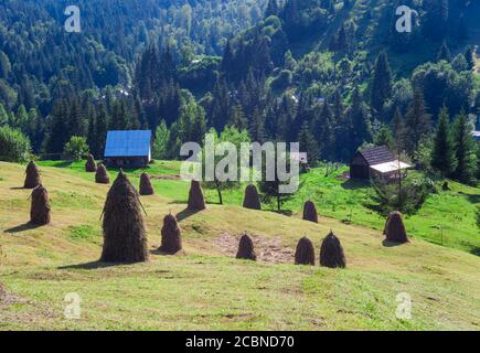 stacks of hay in rural Romania, traditional village working Stock Photo