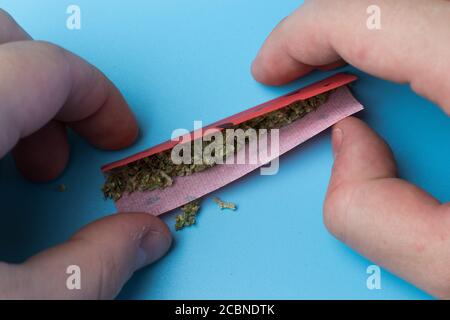Rolling marijuana joint close-up. Use of legal cannabis. Weed concept design template for web Stock Photo