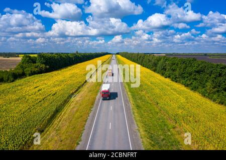 aerial photography of a straight road where cars are driving going over the horizon and sunflowers grow on the side of the road Stock Photo